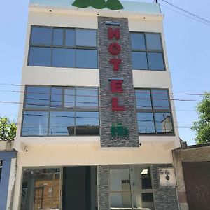 Hotel Los Pinos Centro